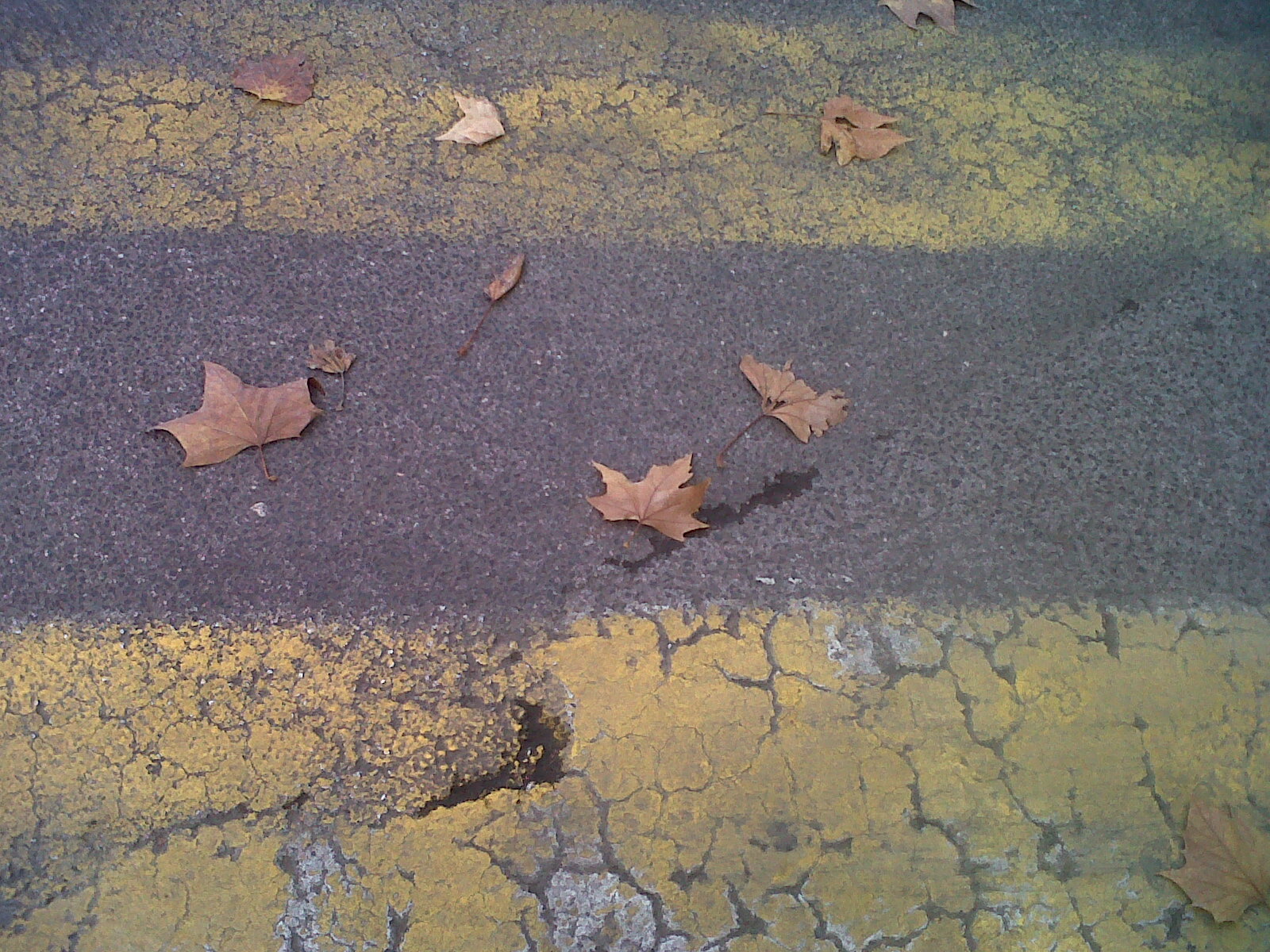 les feuilles mortes