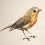 A Bird in watercolor