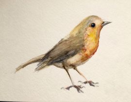 A Bird in watercolor