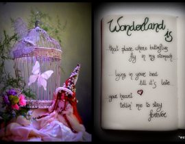 My WonderLaNd Is…. <3