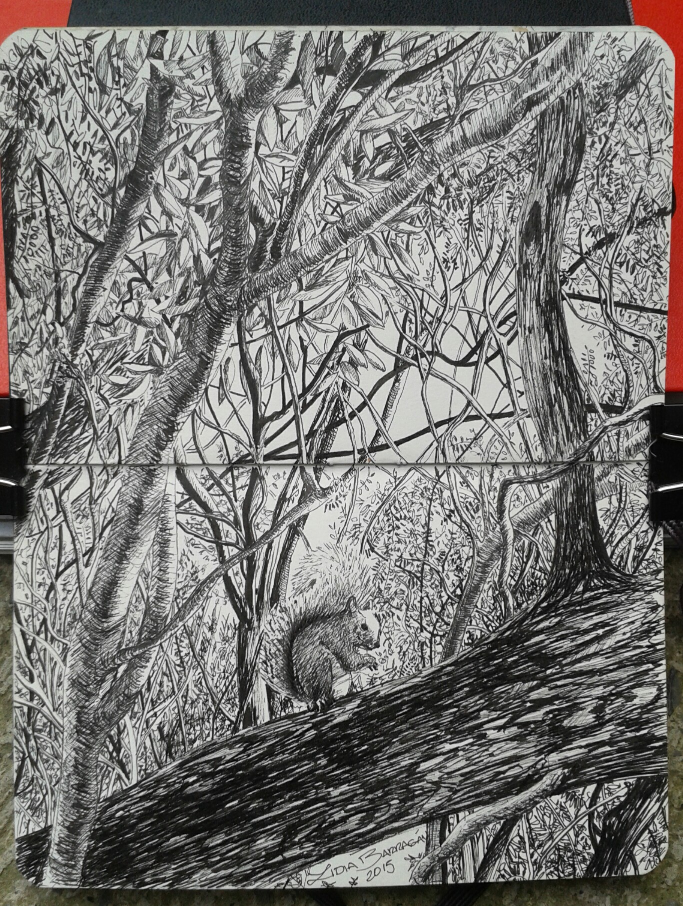 sketch of a little scene of the forest