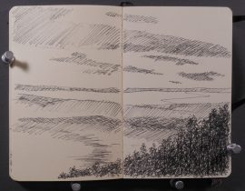 Cedar Lake Sketch