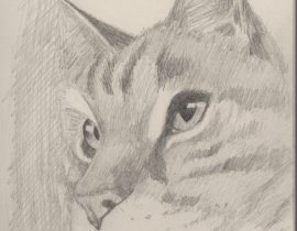 yes…a cat drawing