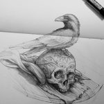 Crow & Skull