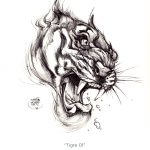 “Tigre”