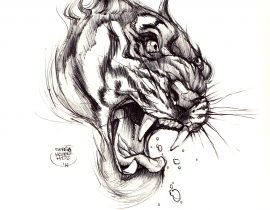 “Tigre”