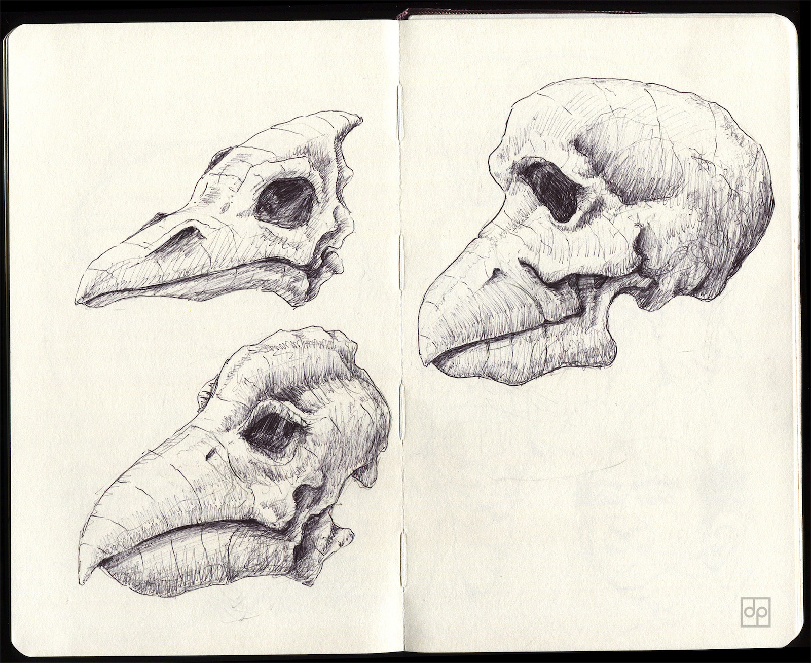 Birdman skulls