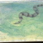 Water Snake