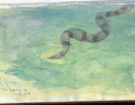 Water Snake