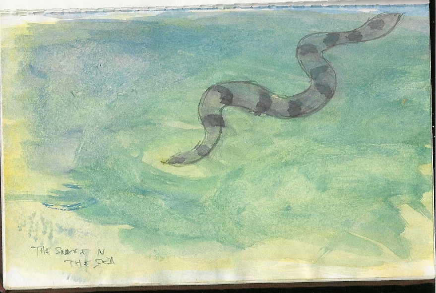 Water Snake