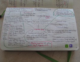 School notes in a mindmap