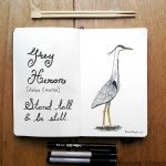 Harriet the Grey Heron