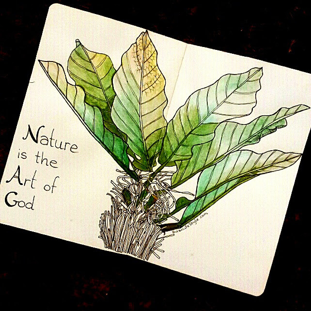 Nature is the art of god