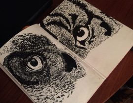 Owl observation in small sketchbook