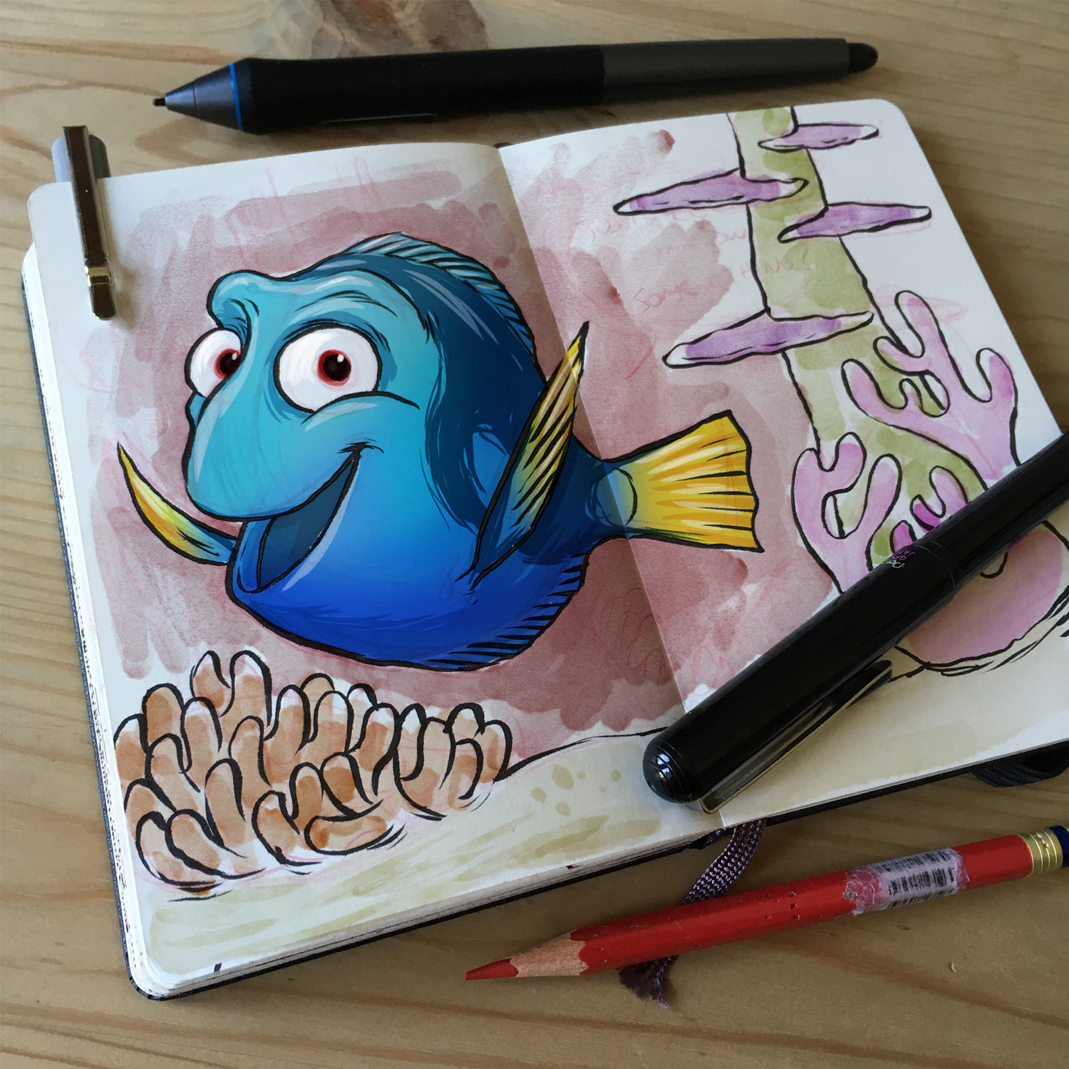 Dory