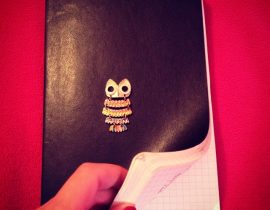 My bullet journal