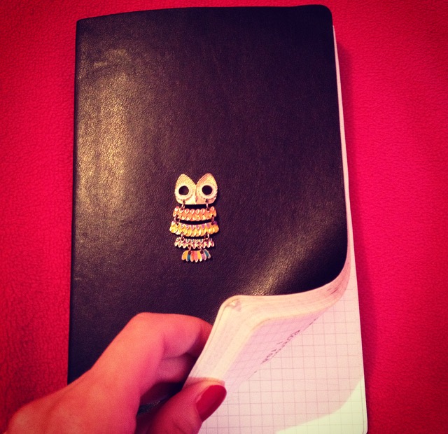 My bullet journal