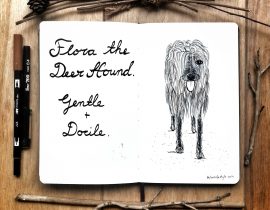 Flora the deerhound.