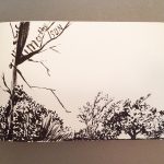 Front page – pen and ink “nature” sketch