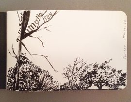 Front page – pen and ink “nature” sketch