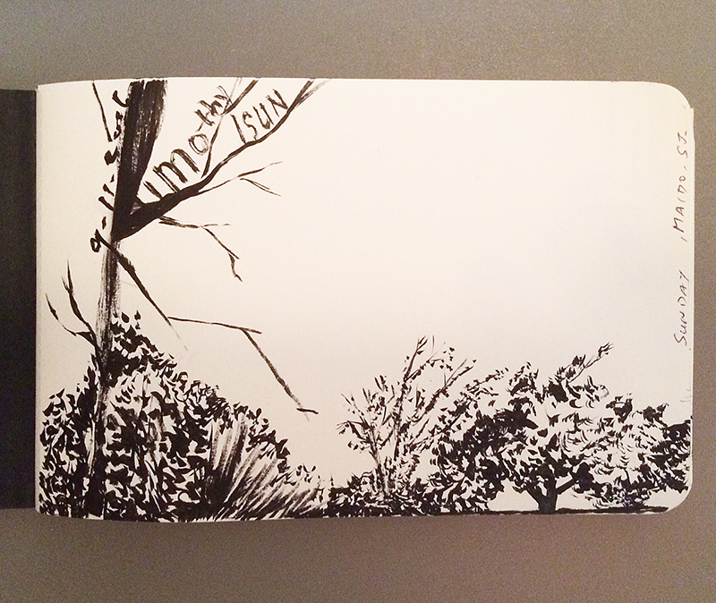 Front page – pen and ink “nature” sketch