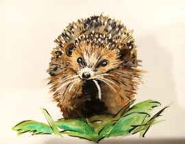 Watercolor Hedgehog