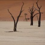 Namib Desert – Dead Vlei