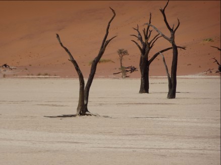 Namib Desert – Dead Vlei