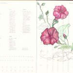 Flower plans