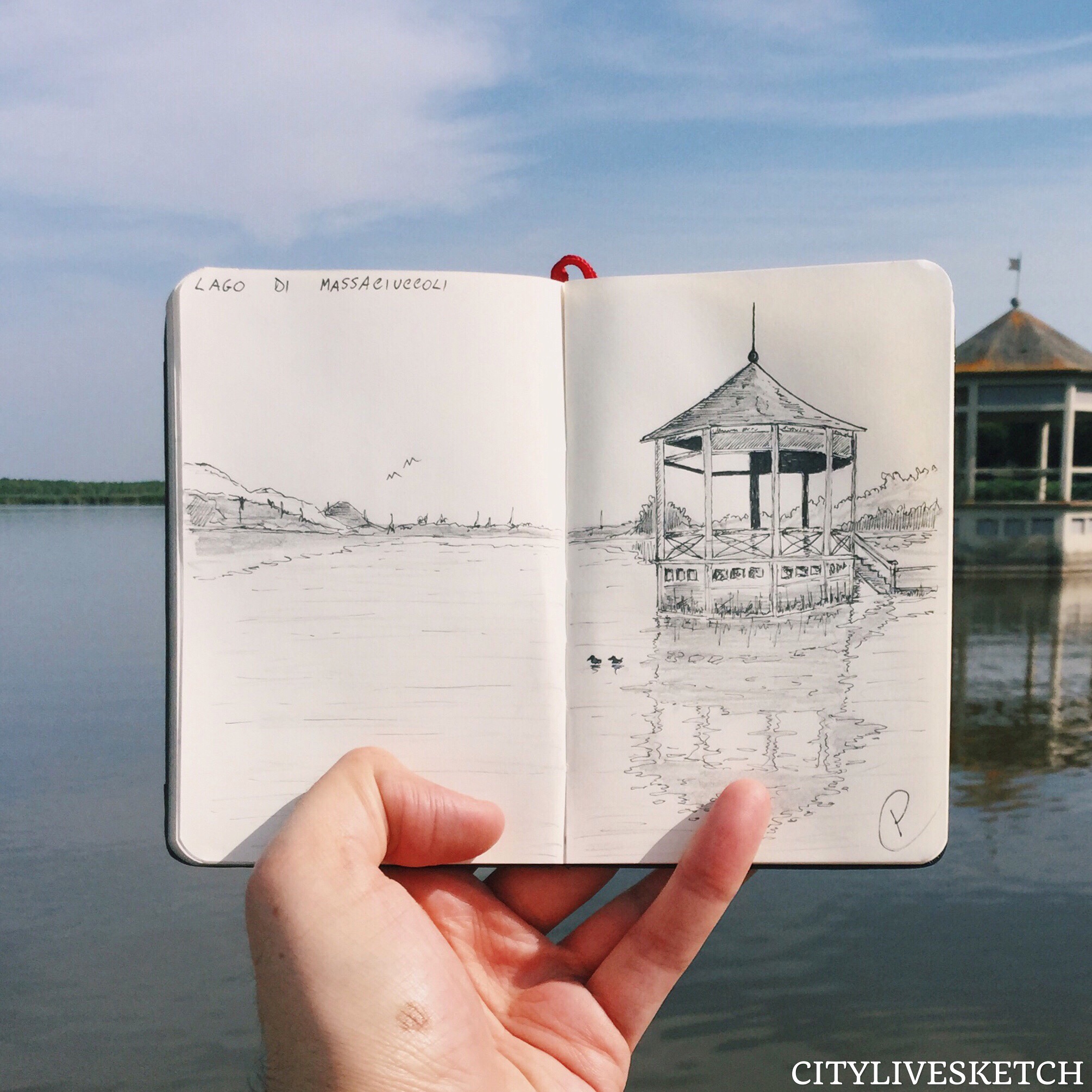 Massaciuccoli Lake Live Sketch