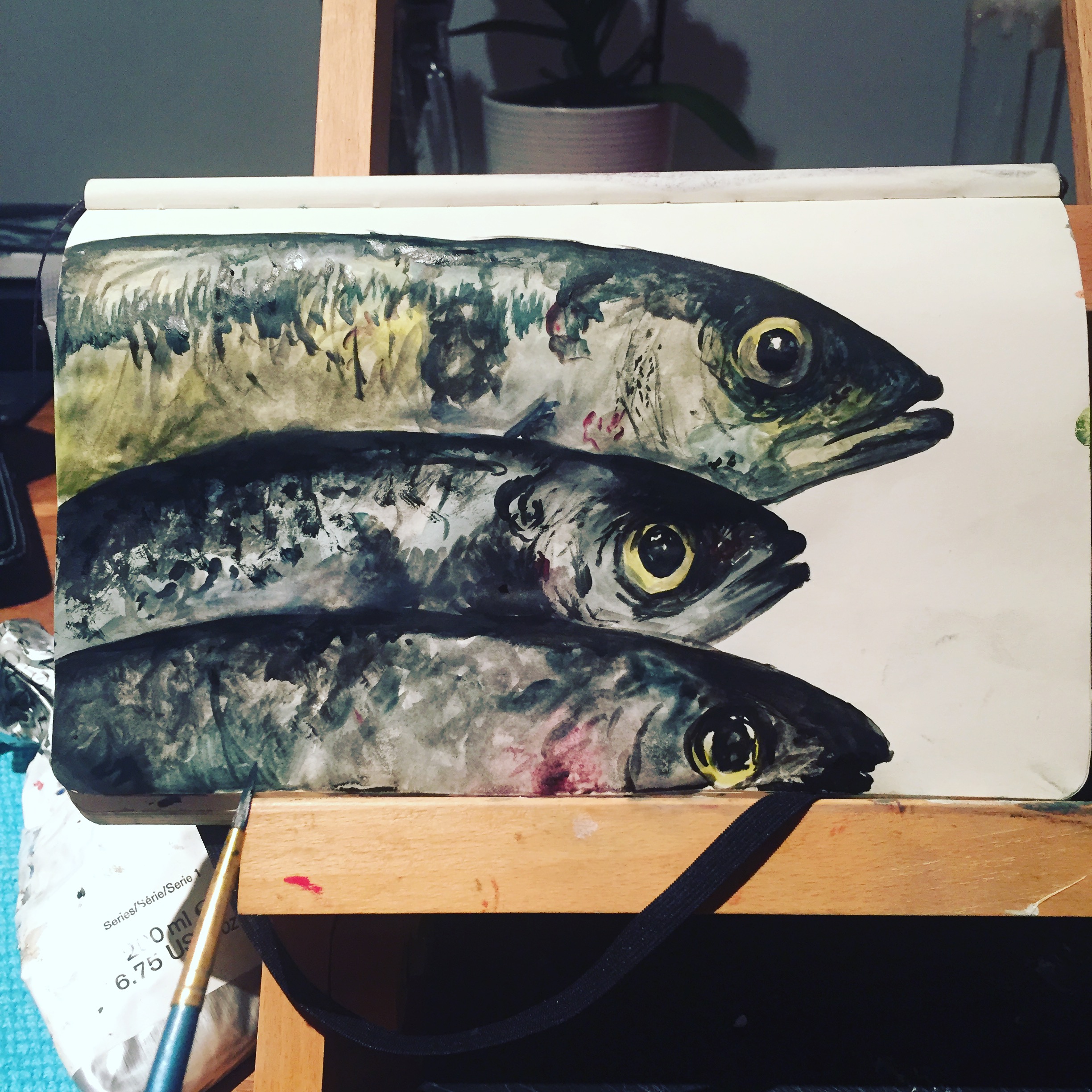 Fish in watercolour