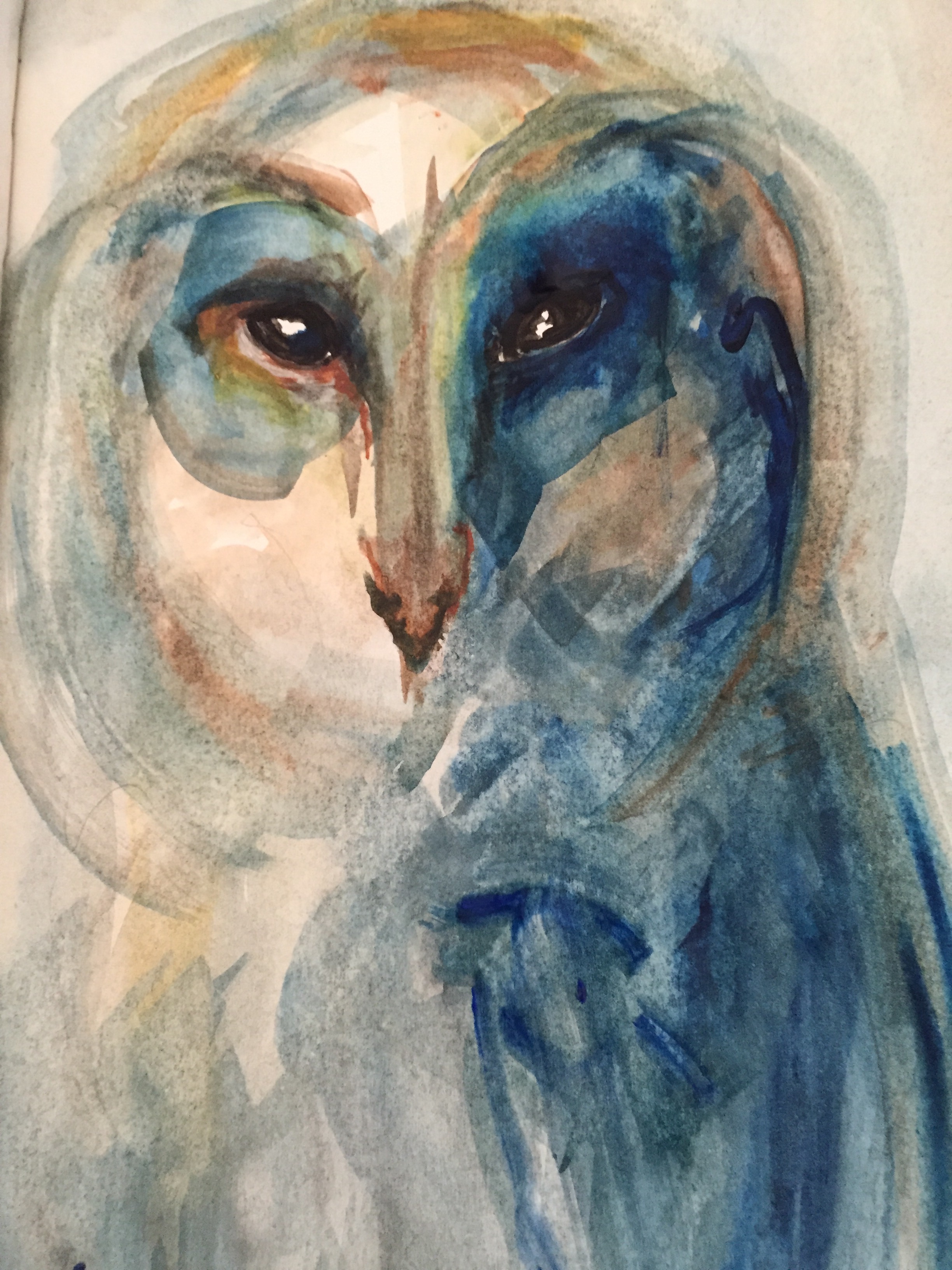 Owl in watercolour