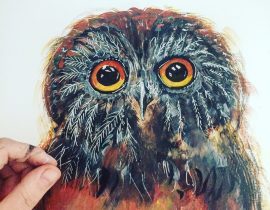 Owl in watercolour