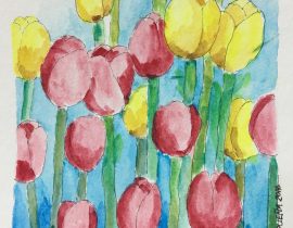 Tulips