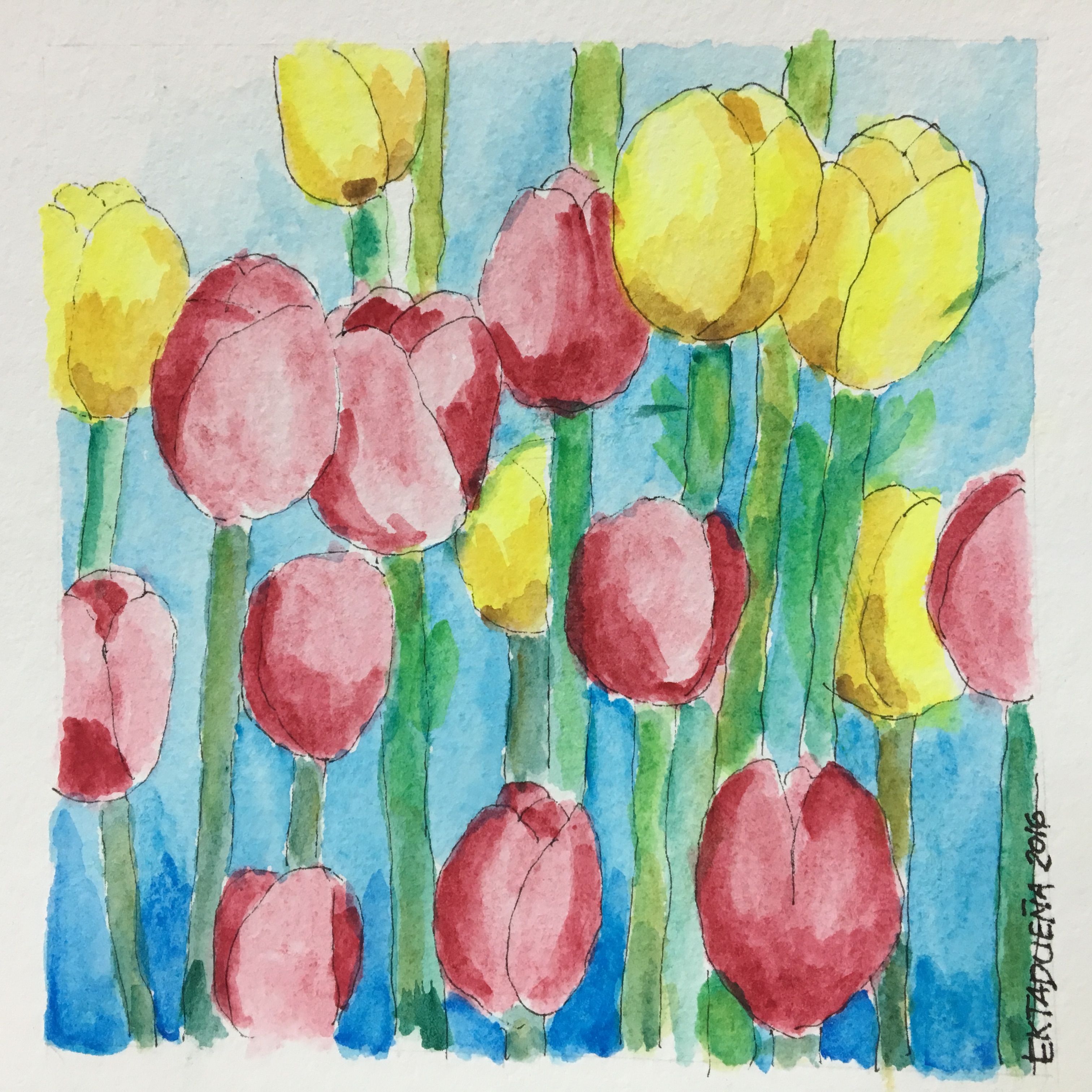 Tulips