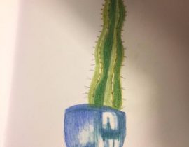 Cactus