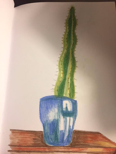 Cactus