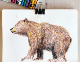 Bear with crayons
