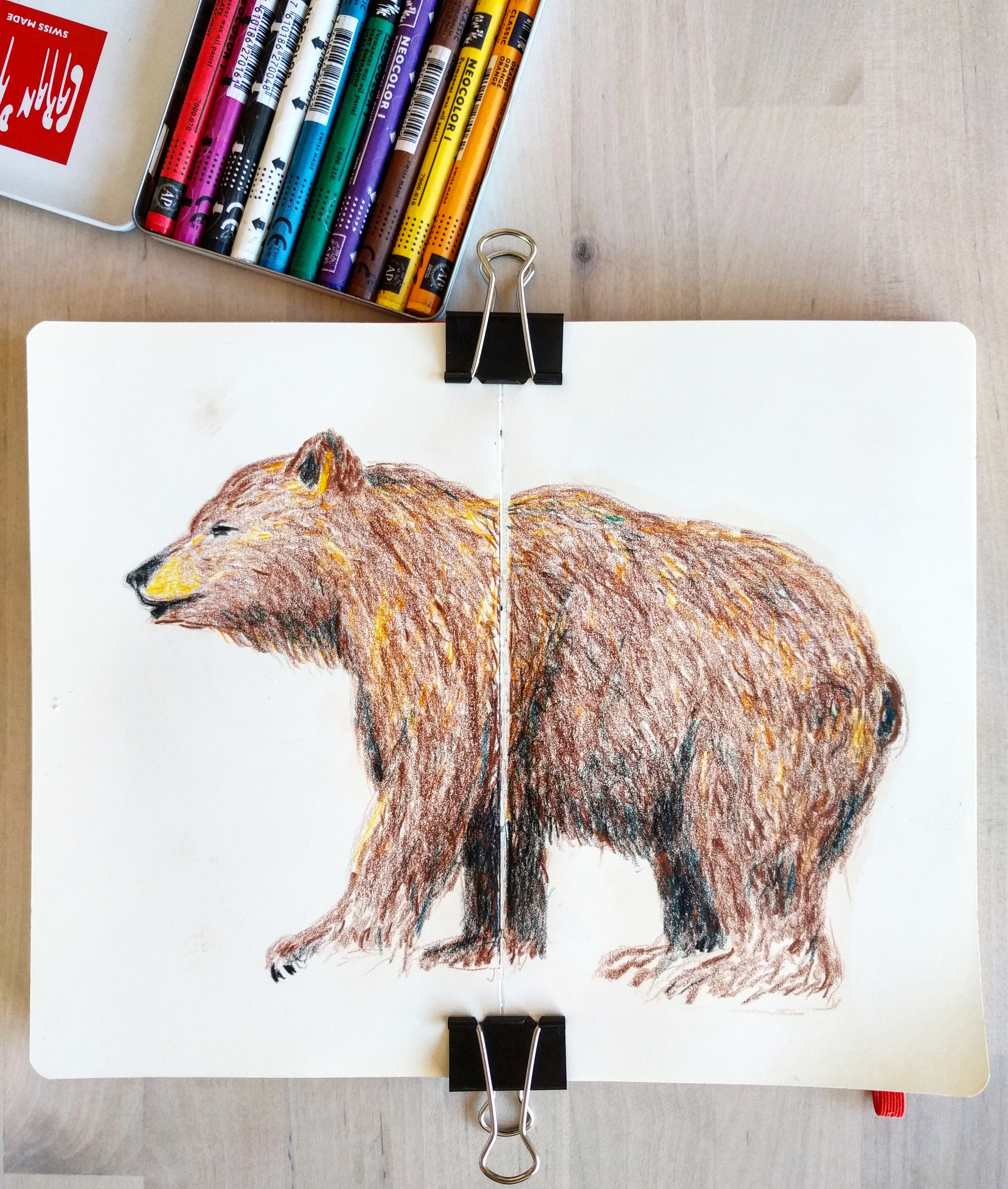 Bear with crayons