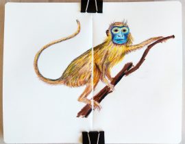 Monkey. Crayons only