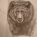 Black Bear 005