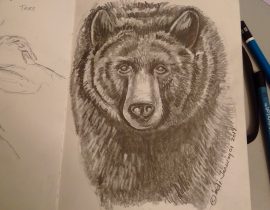 Black Bear 005