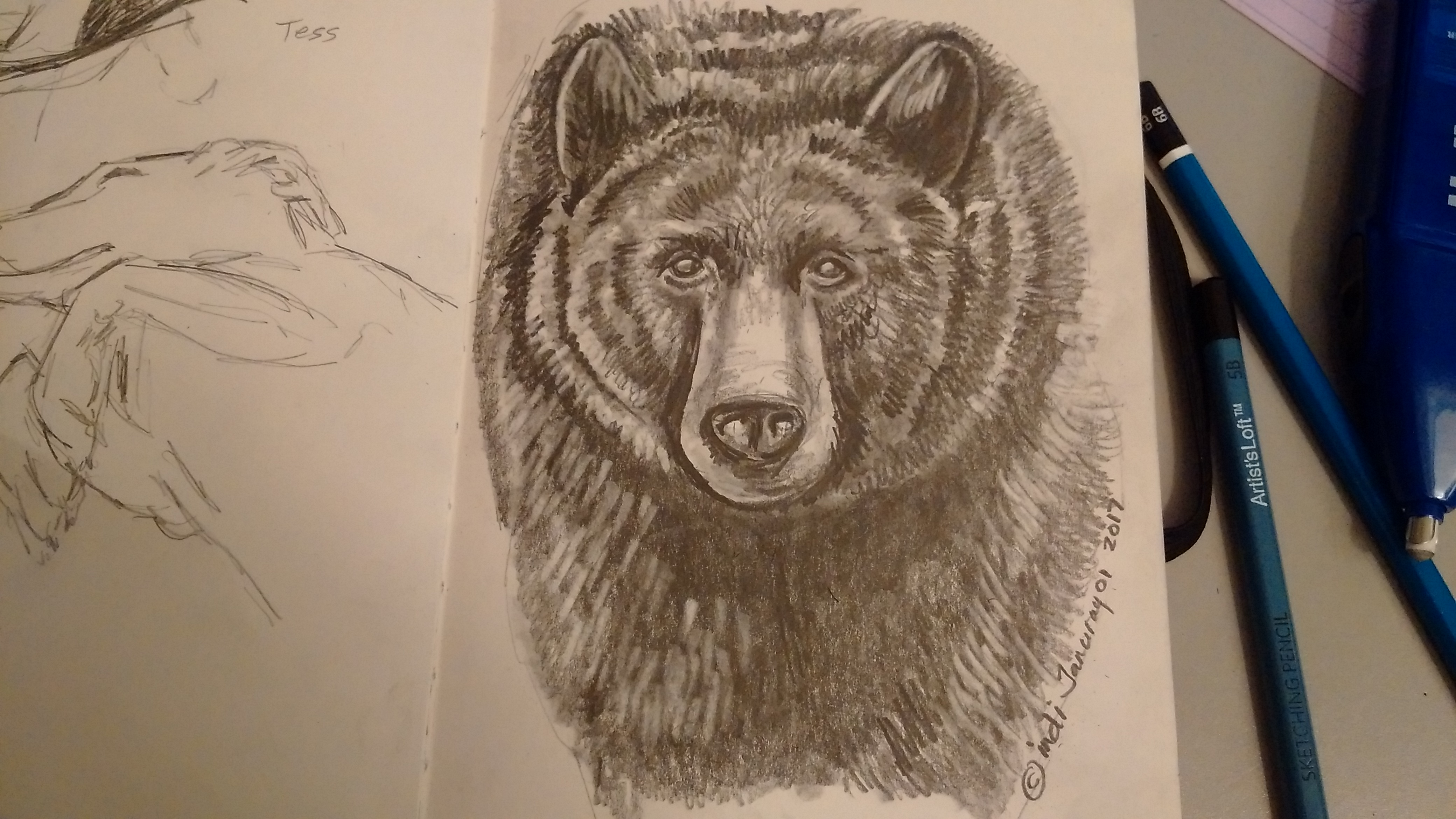 Black Bear 005