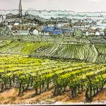 A classic Burgundy vineyard