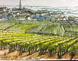 A classic Burgundy vineyard