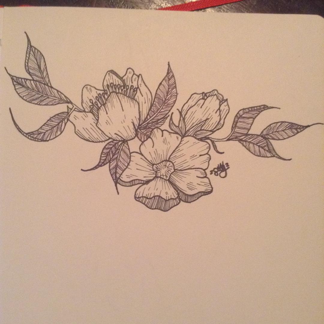 Late Night Flower Drawing.