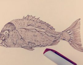 魚（Sea bream）