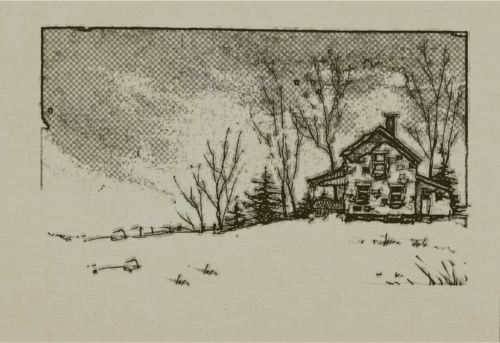 House in snow