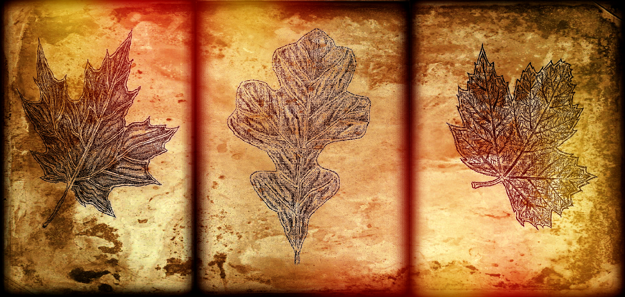 Fall leaves triptych