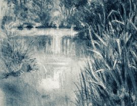 pond tranquil